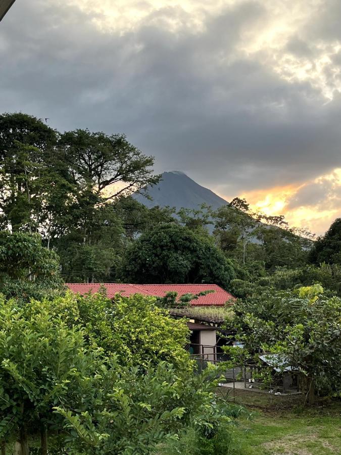 Arenal Sloth Hostel ラ・フォルトゥナ エクステリア 写真