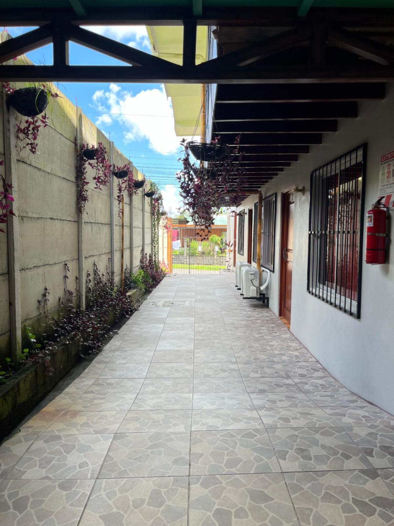 Arenal Sloth Hostel ラ・フォルトゥナ エクステリア 写真